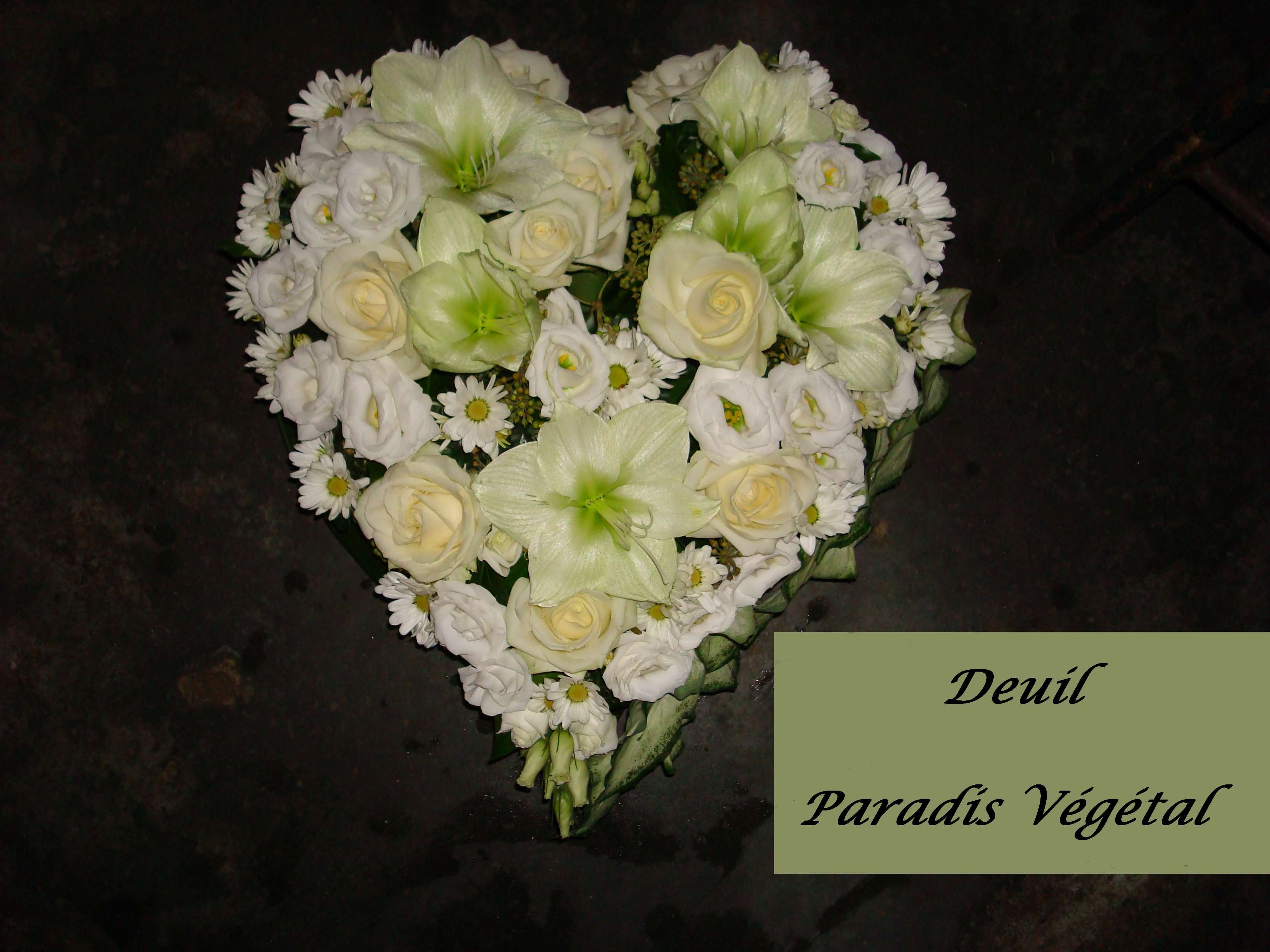 1 / Coeur  blanc - modèle à 120 €   ( Largeur 35 cm )
Photo non contractuelle
PARADIS VEGETAL