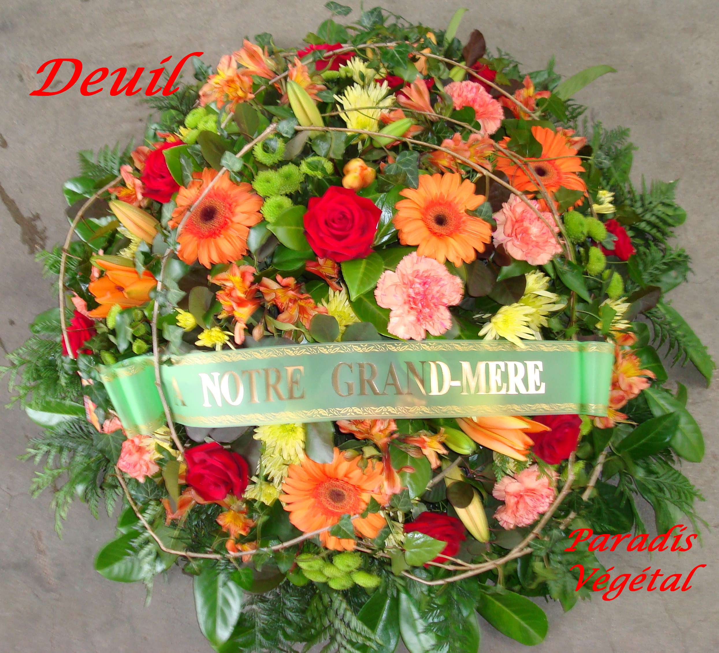 Dsc01781