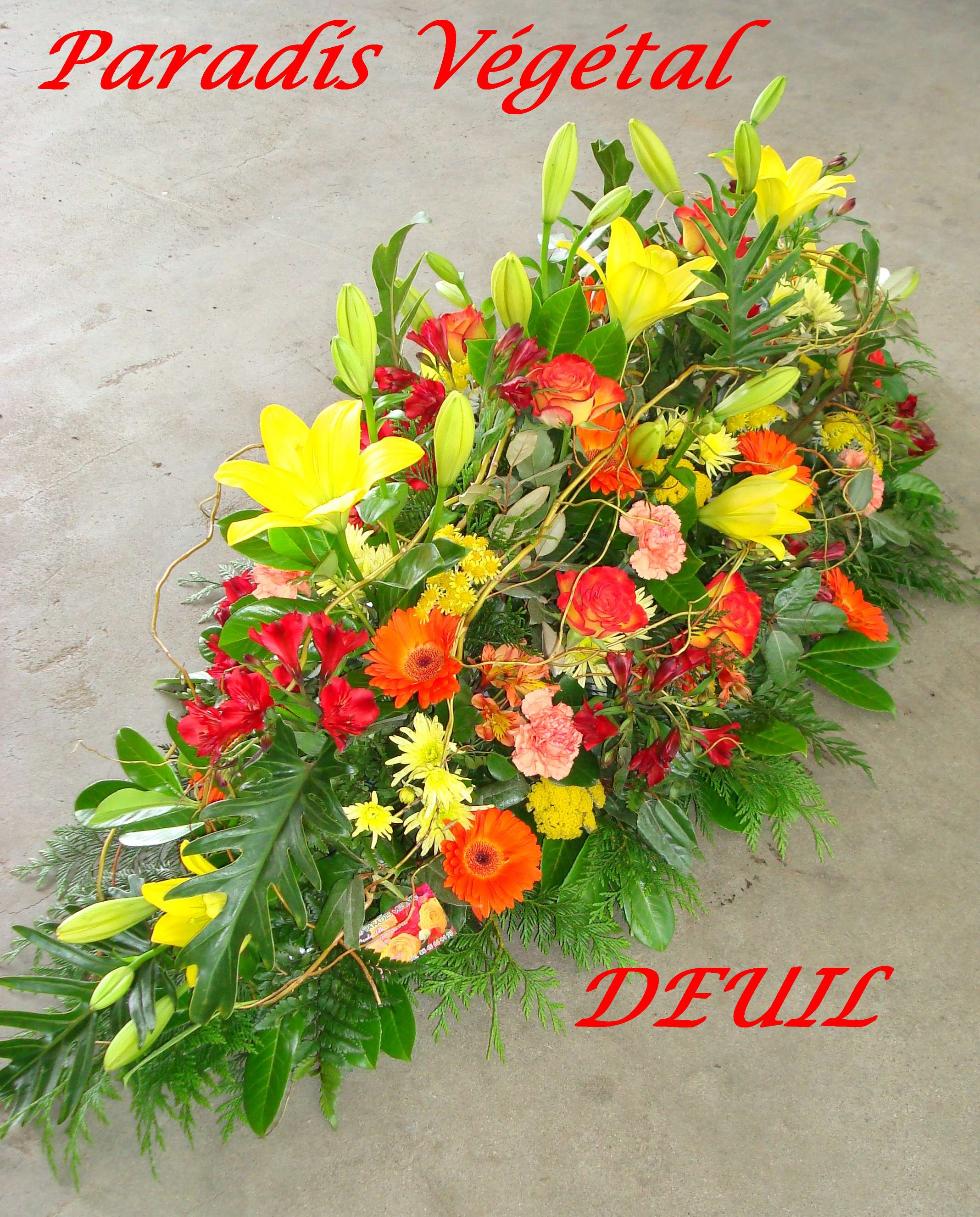 Dsc01775