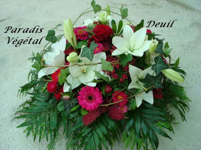 3 / Coupe ronde jardin  - modèle à 60 €  ( Ø 40 cm ± )
Photo non contractuelle
PARADIS VEGETAL