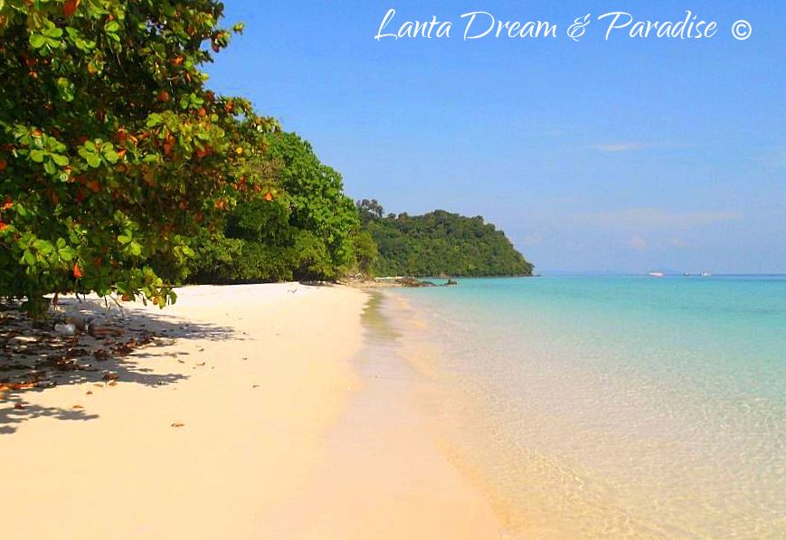 Korokbeachresize