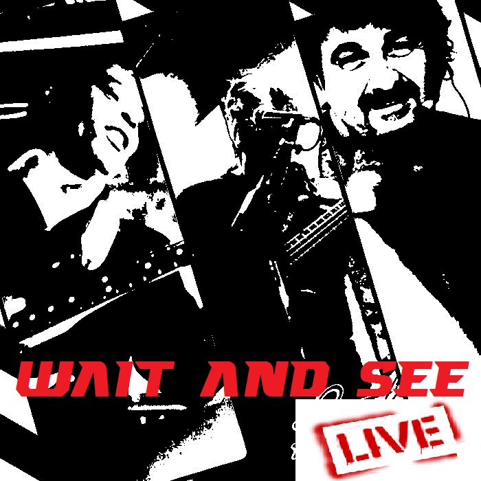 1ad4f79f1f33b738b3f541019b09599a