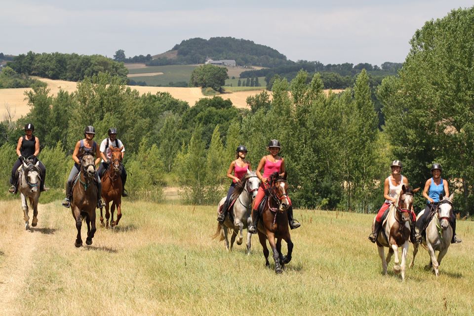 11014962 1000616446649497 1259054065538297969 n