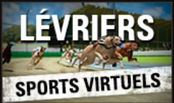 Sport Virtuel Lévriers sur les Casino Belge en Ligne