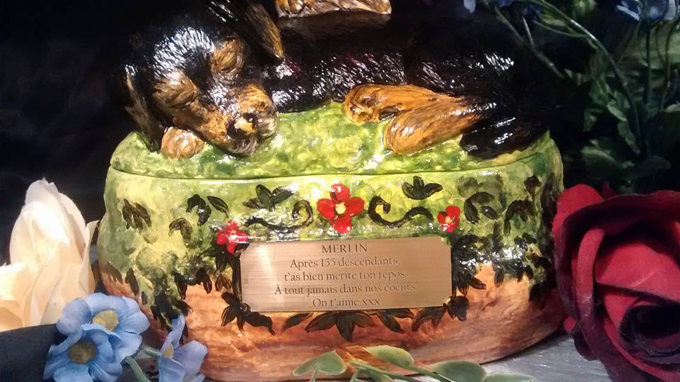 11800231 1024491834262395 4768789365500617930 n