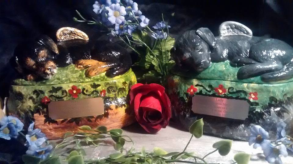 11800064 1024491854262393 4843423416754984572 n