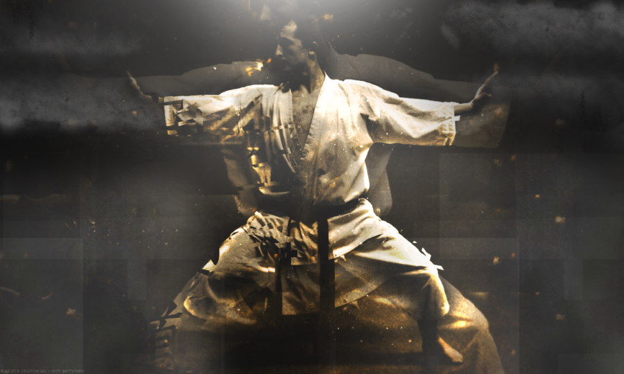 Karate do by nytdarts d4930bz