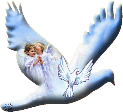 Colombe266