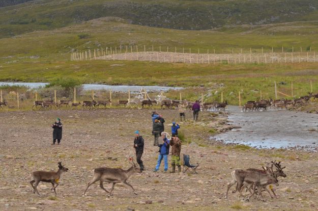 ETAPE 19 - Cap Nord -Hammingberg (Norvège)