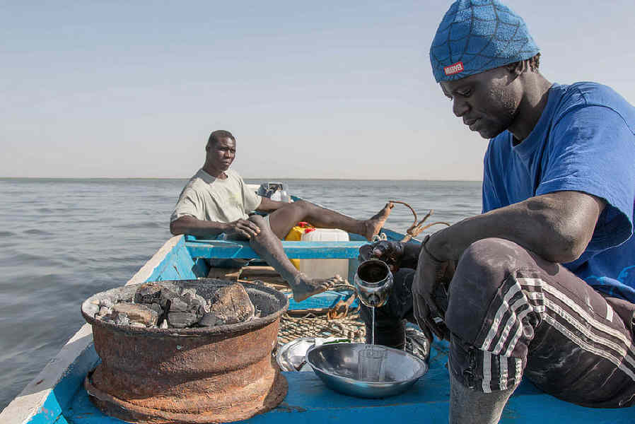 16178384094 de06d19885 c