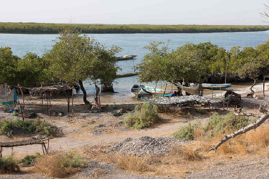 16180815363 4c5112bdf1 c