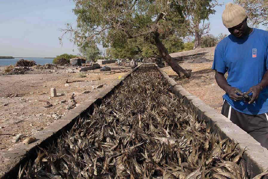 16613147628 5c3eb9216e c