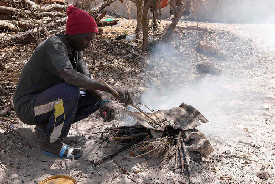 16774865286 e2049dbd82 c