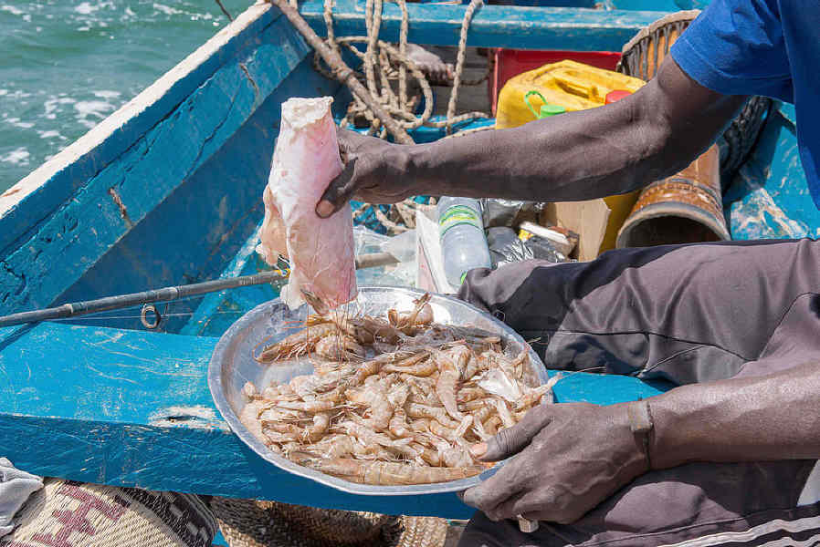 16799610171 4afd01053c c