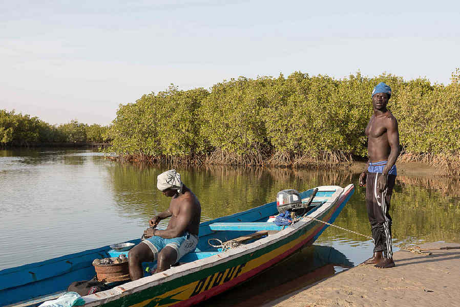 16799618702 88e4d1eabb c