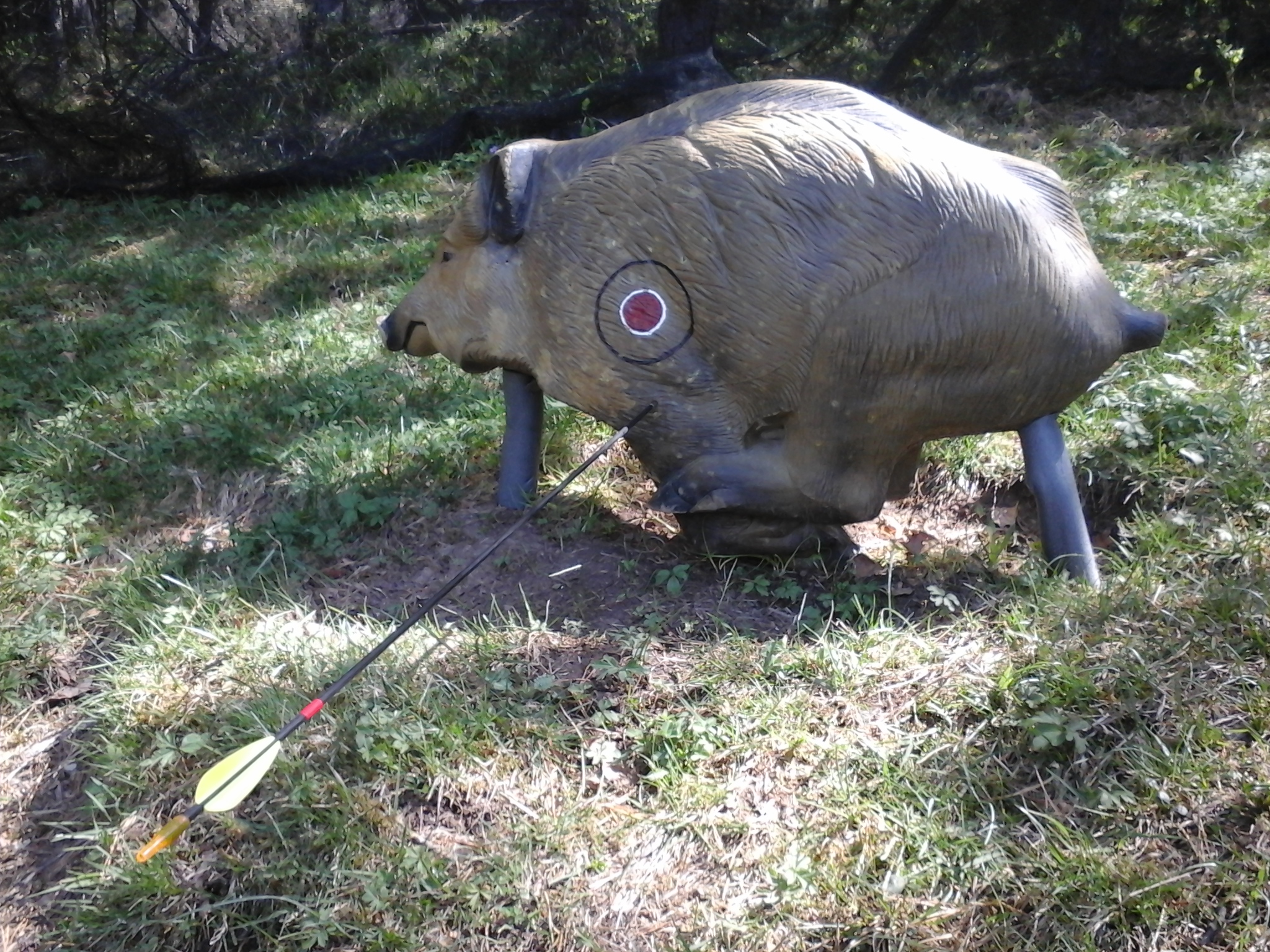 SANGLIER EN 3D