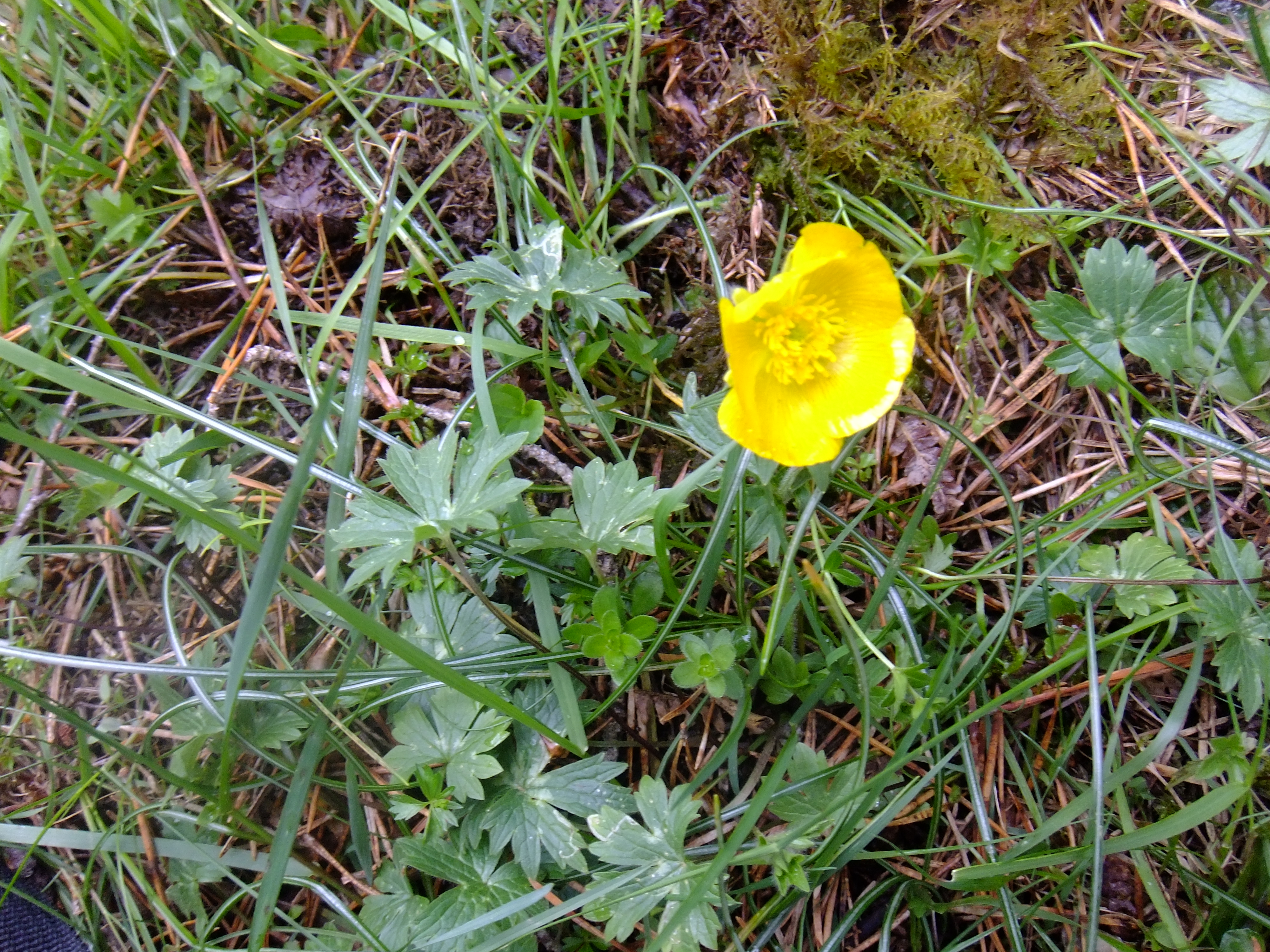 Dscf5406