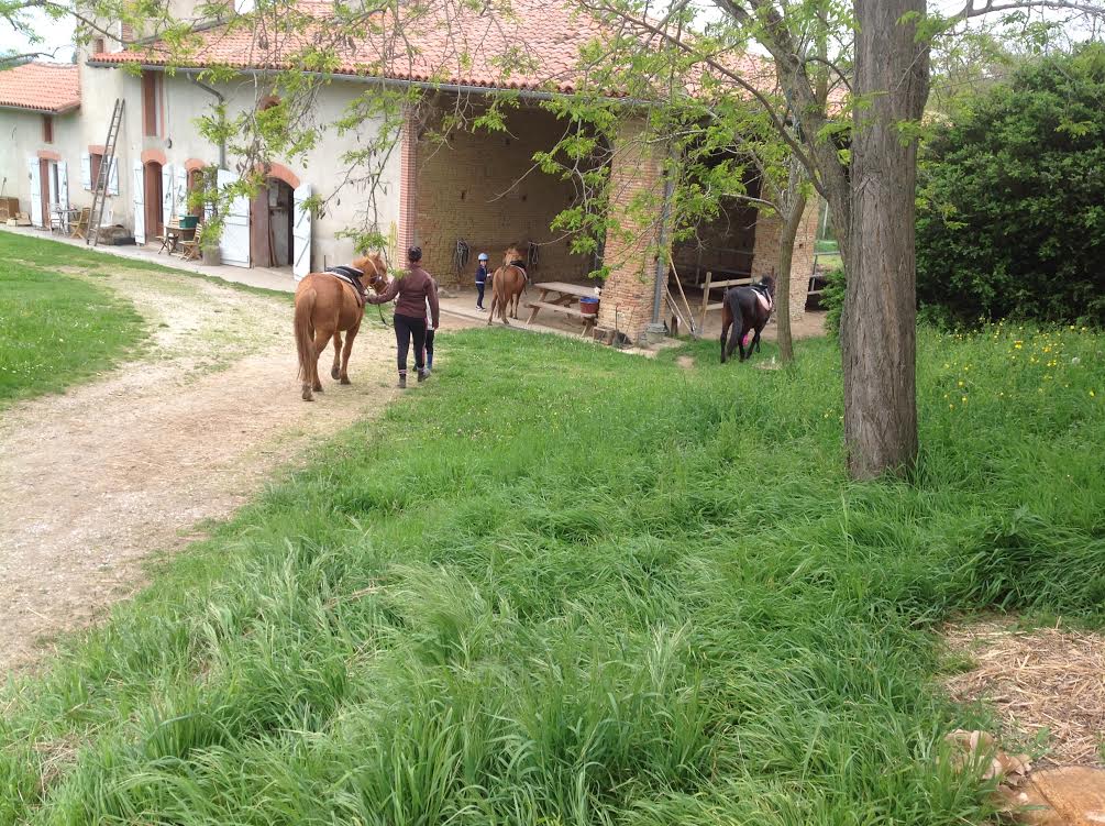 Cours