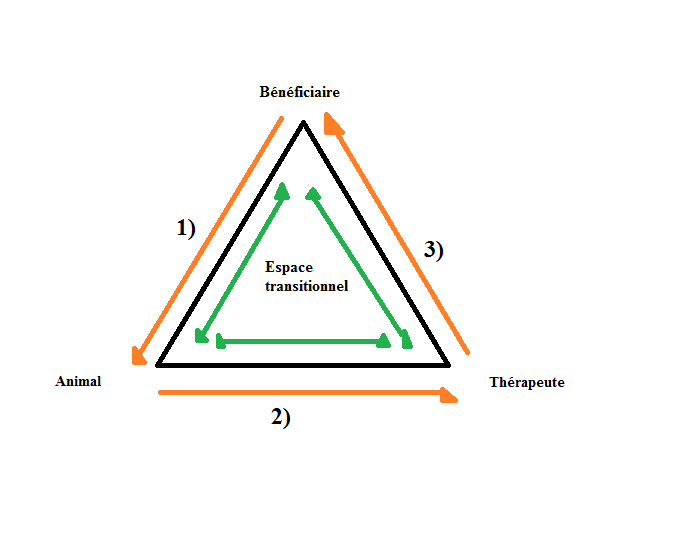 Triangulation