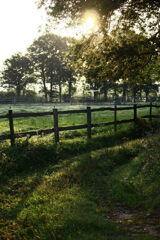 Haras