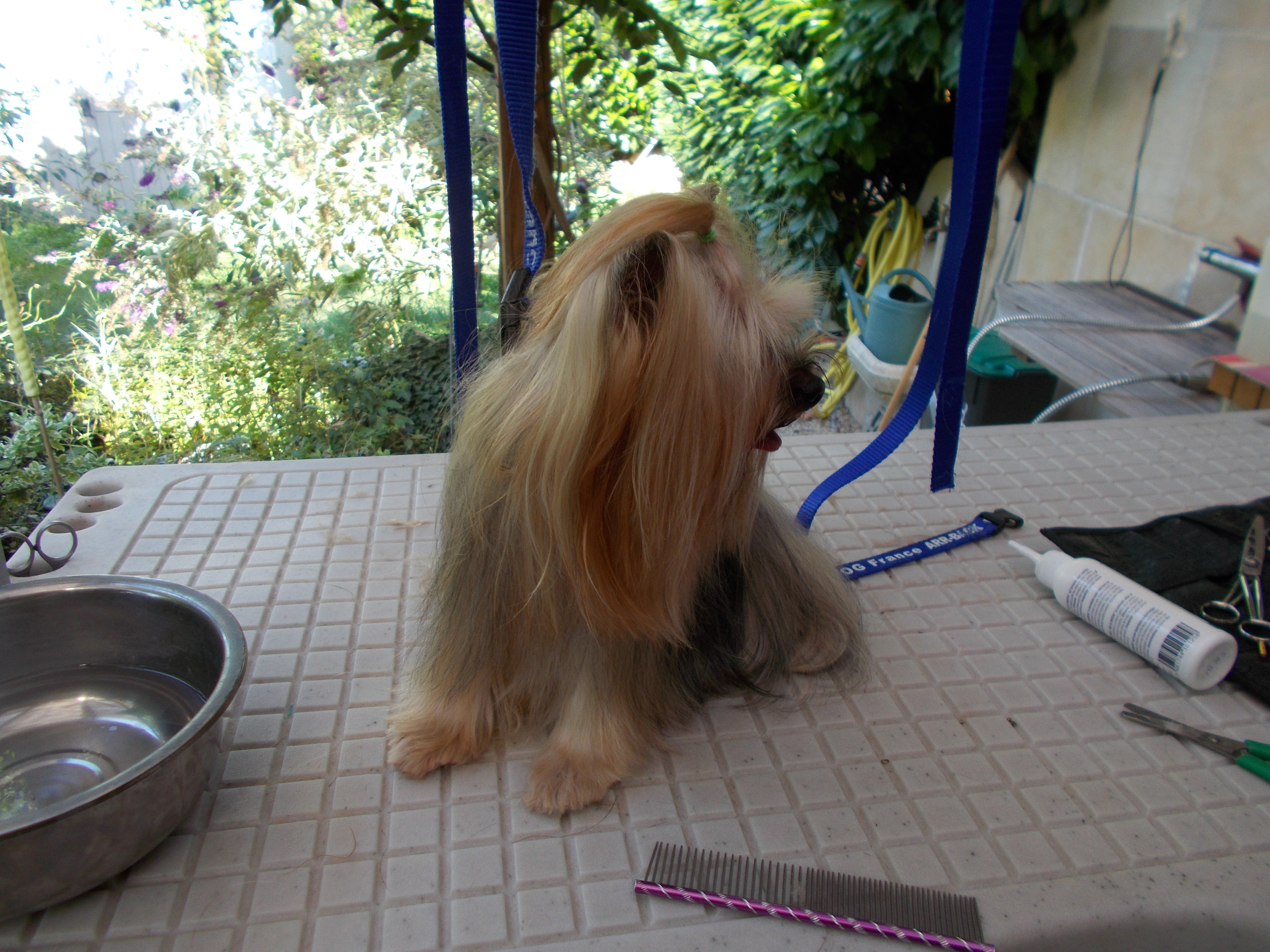 Toilett ete 2015 043