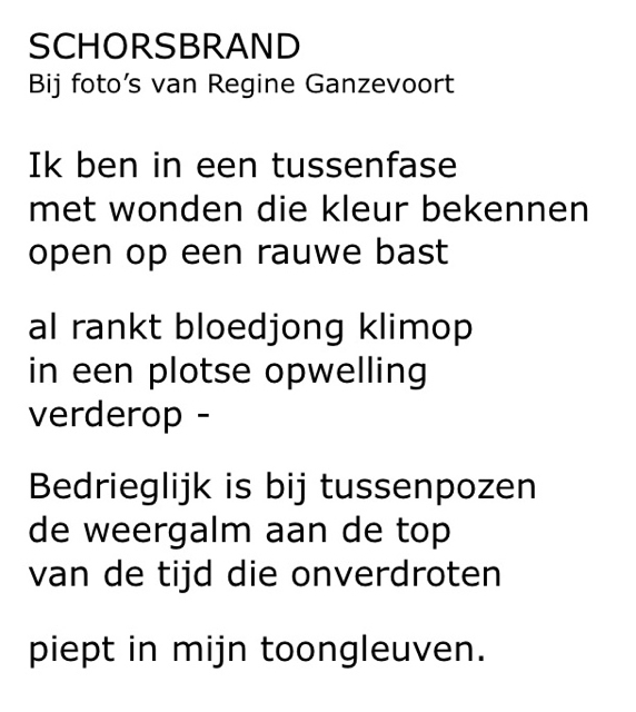 Schorsbrand uit water en wind