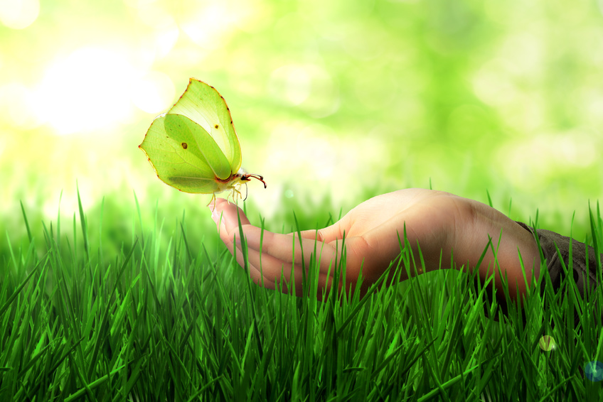 Fotolia 87254250 S