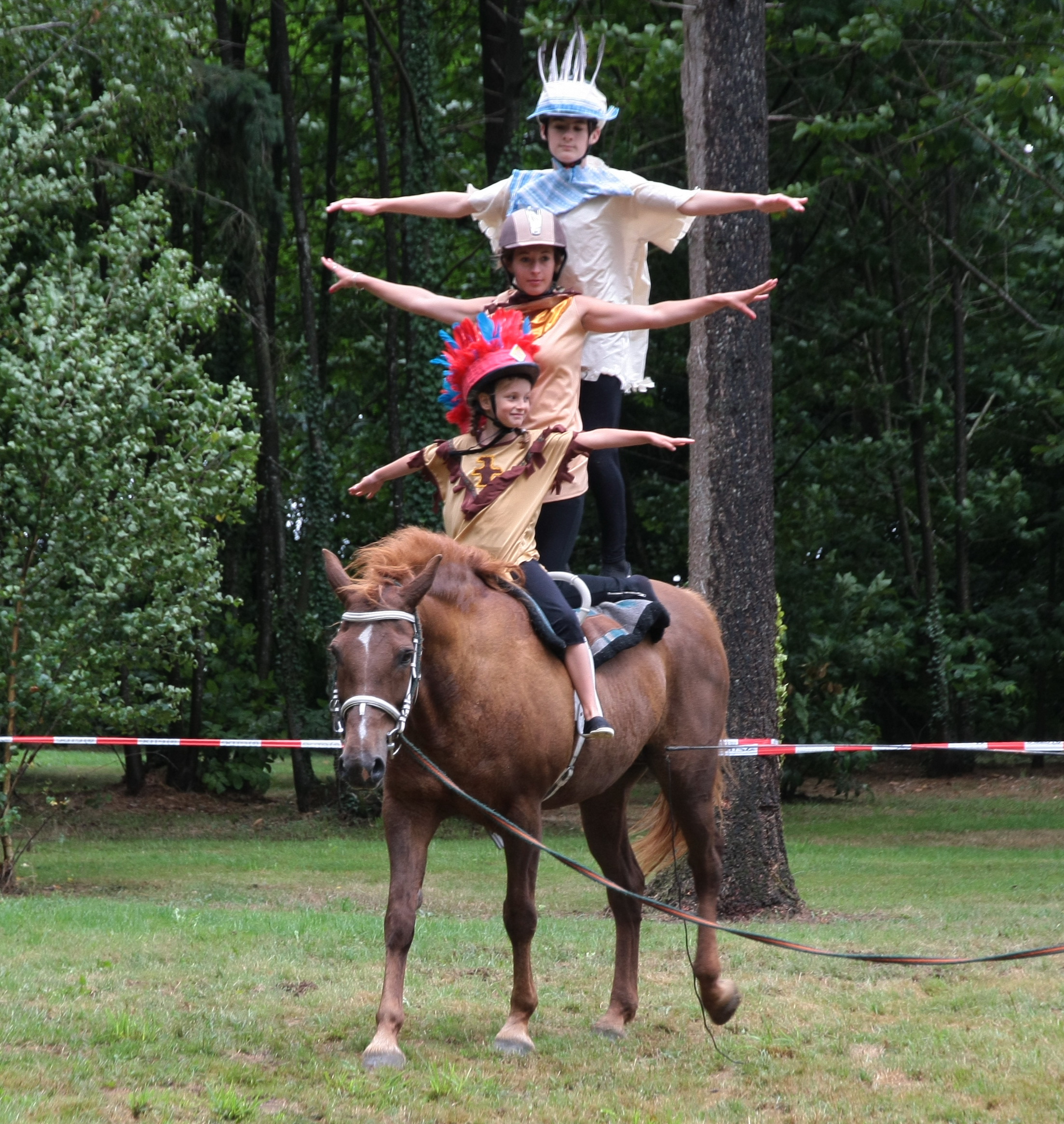 Fête des battages 2015 à Nivillac