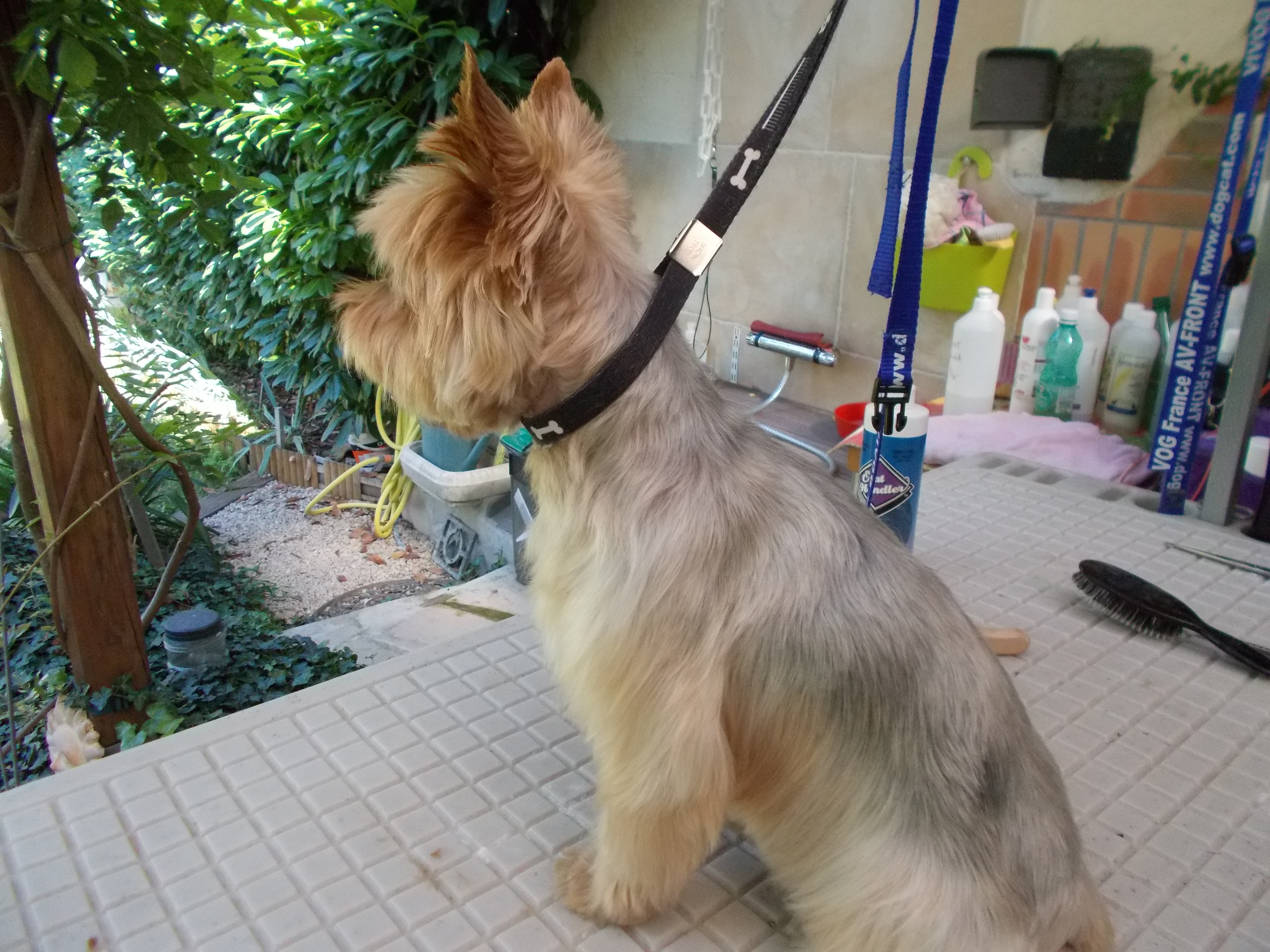 Toilett ete 2015 082