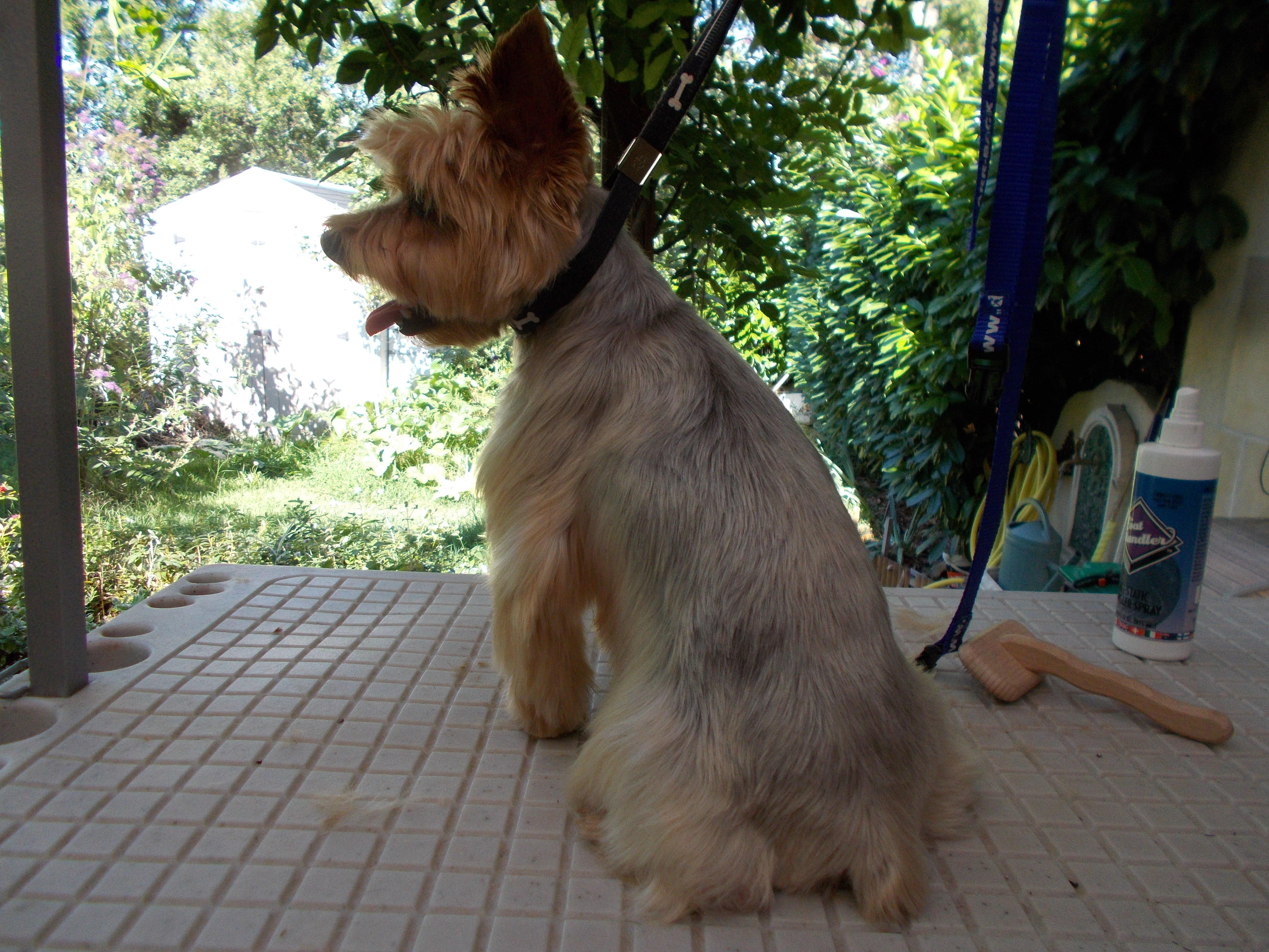 Toilett ete 2015 085