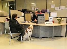 Images accueil handi 1