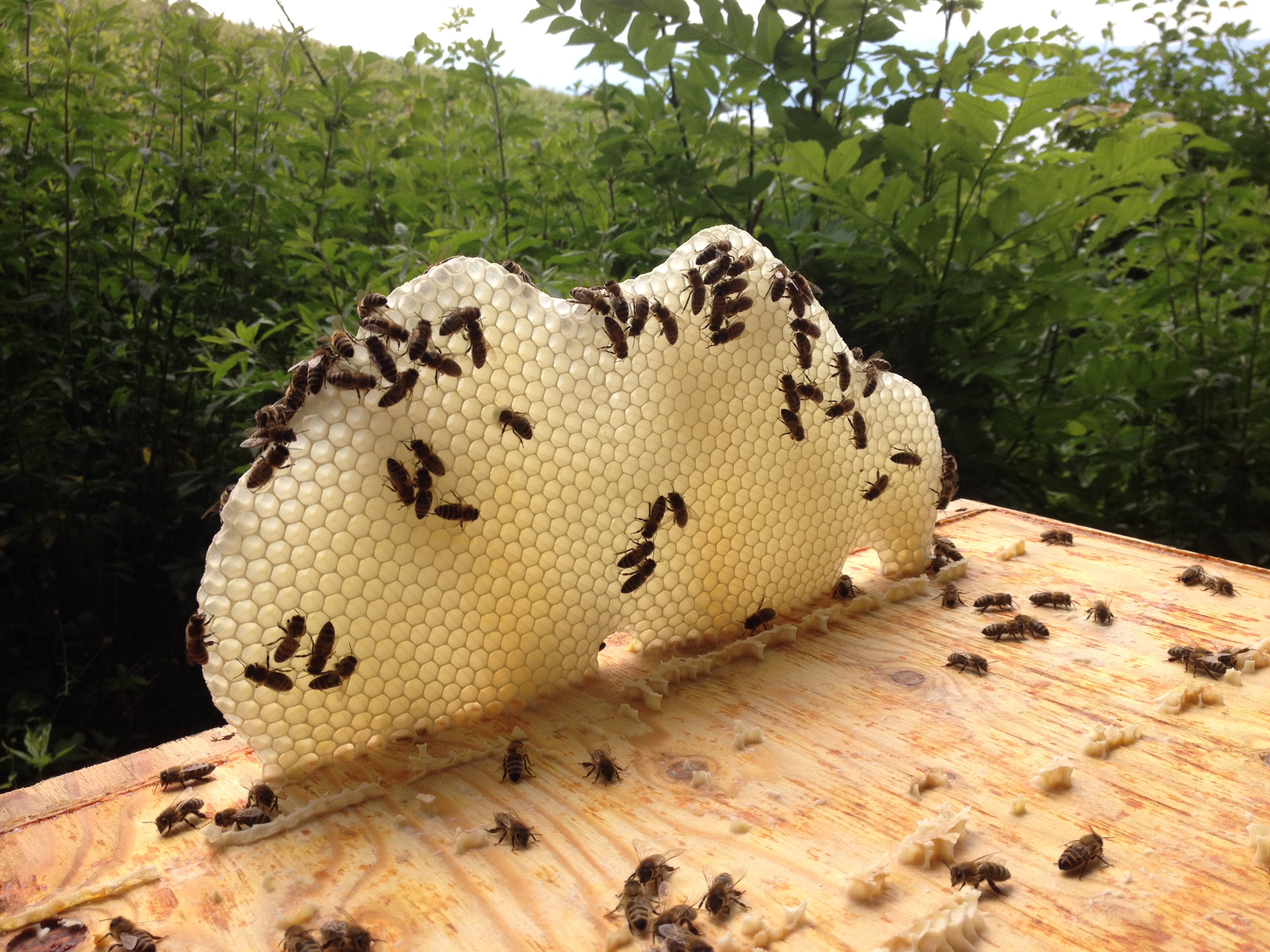 Un vrai travail d'architecture