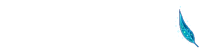Signature 4 1 