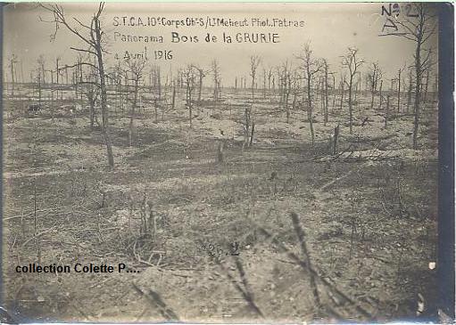 Bois de la grurie 1916