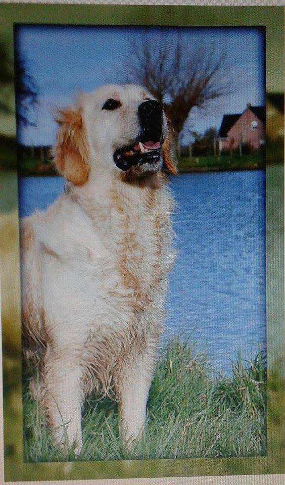 12202416 949405241792309 549857124 n