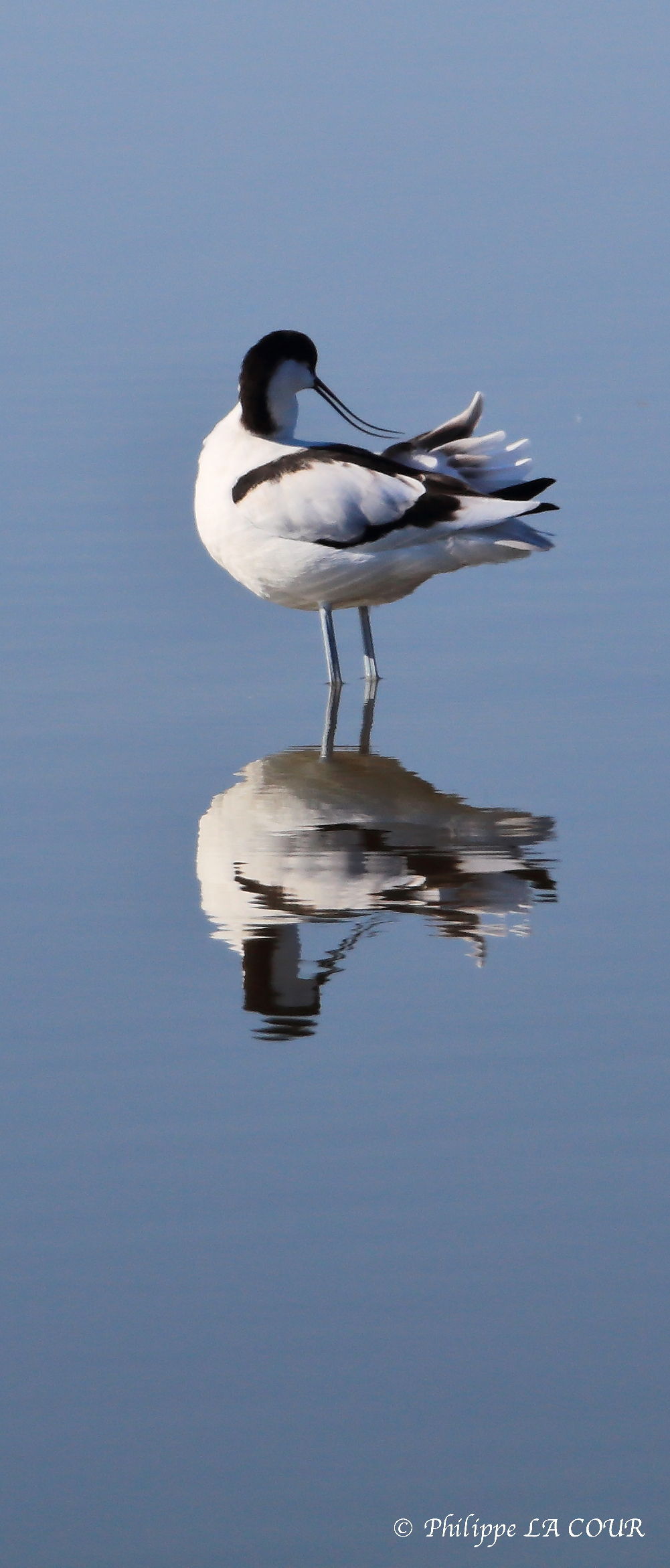 37