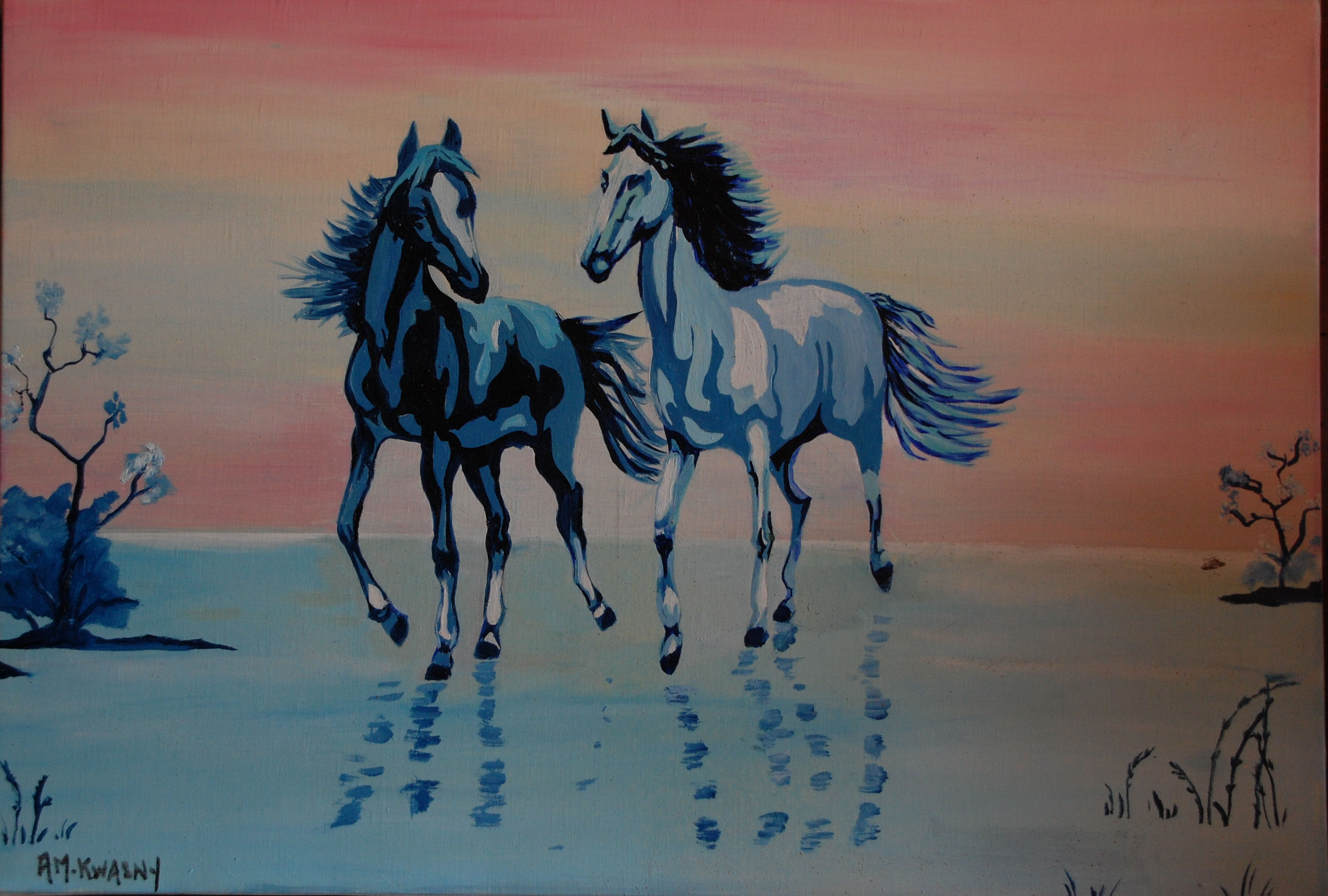 Chevaux en liberte