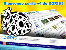 Bienvenue sur la v4 DORIS forumHomeCard