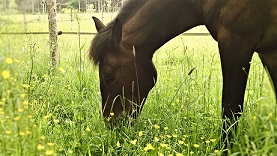 Wp 20150508 15 47 51 pro 2 r