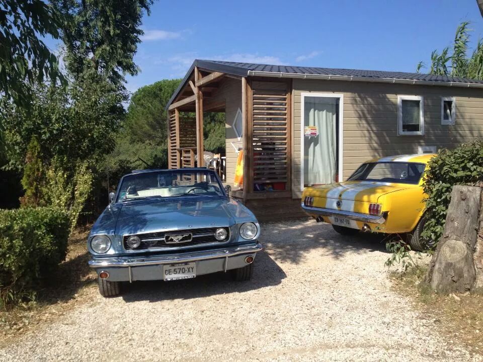 Img 213561846073699