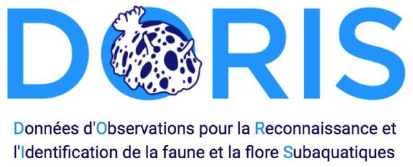 Logo DORIS V4b image600