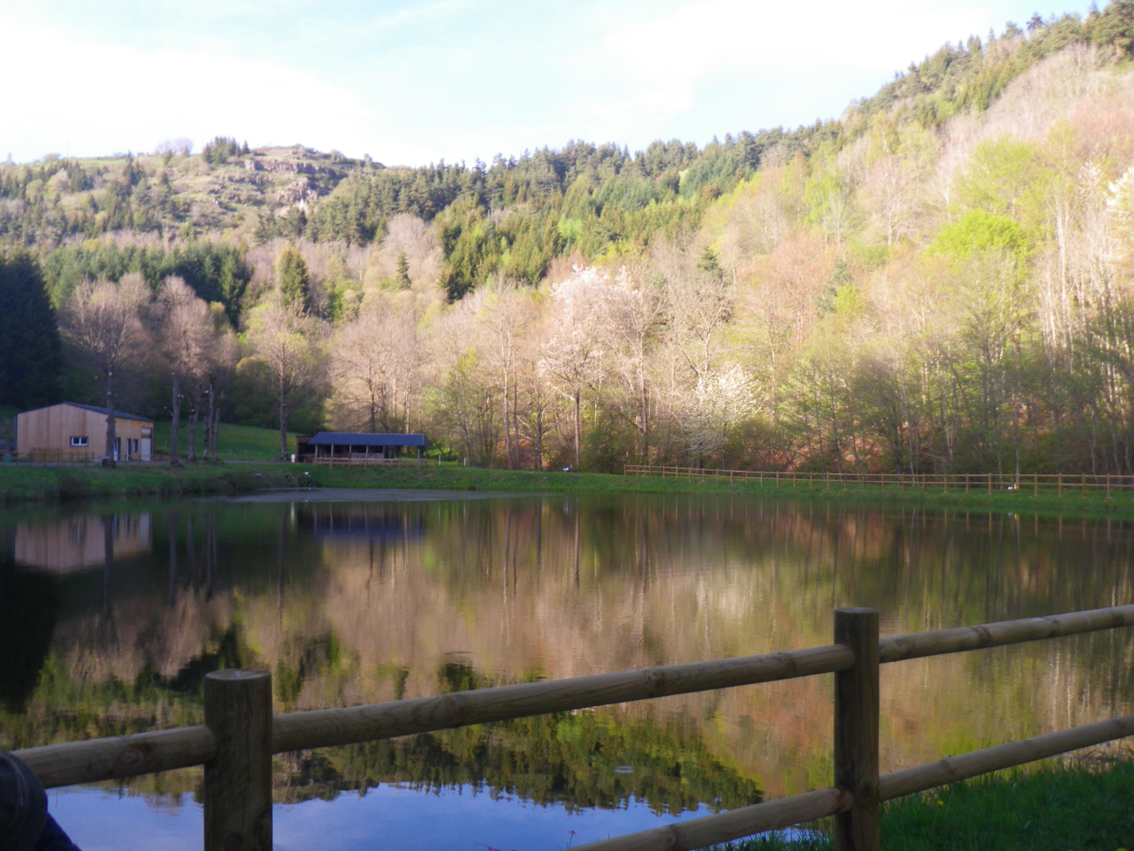 Lac de Pêche avec vente de carte de Pêche à la journée à la Mairie de Peyrusse.
A 400 mètre du gîte