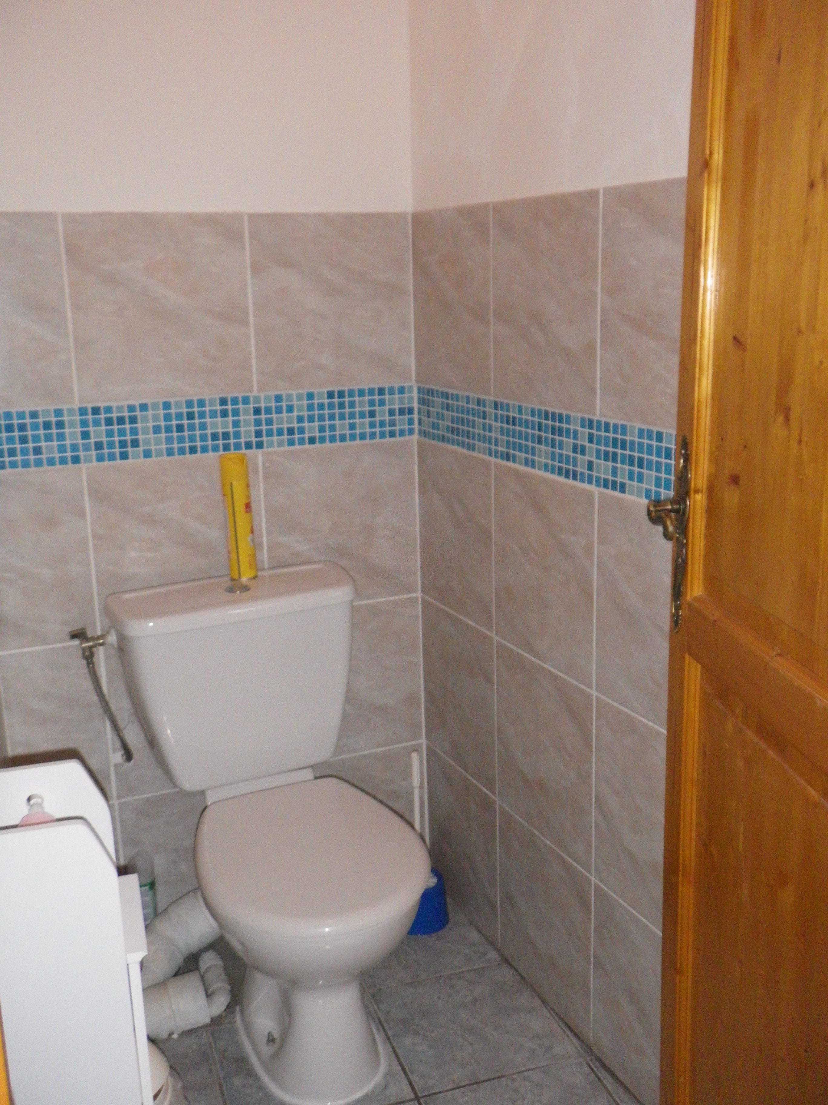 wc chambre bleu