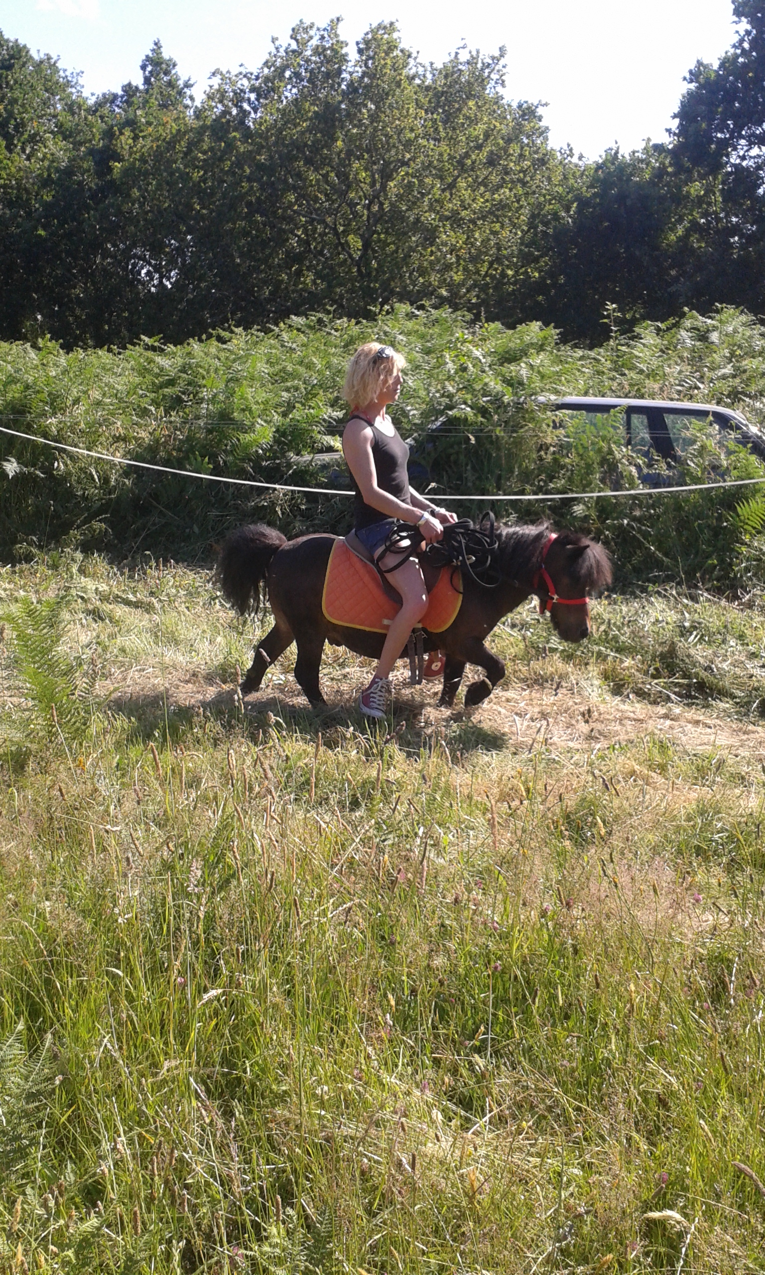 Chevaux saison 2015 039