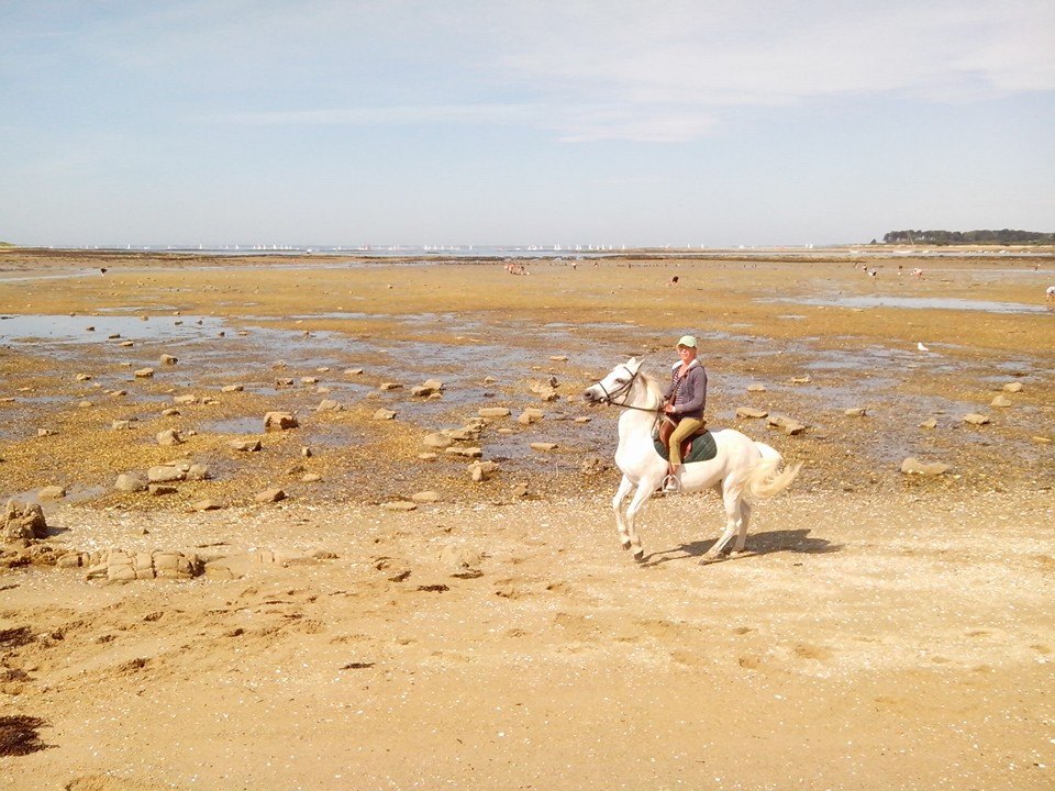 Louna plage