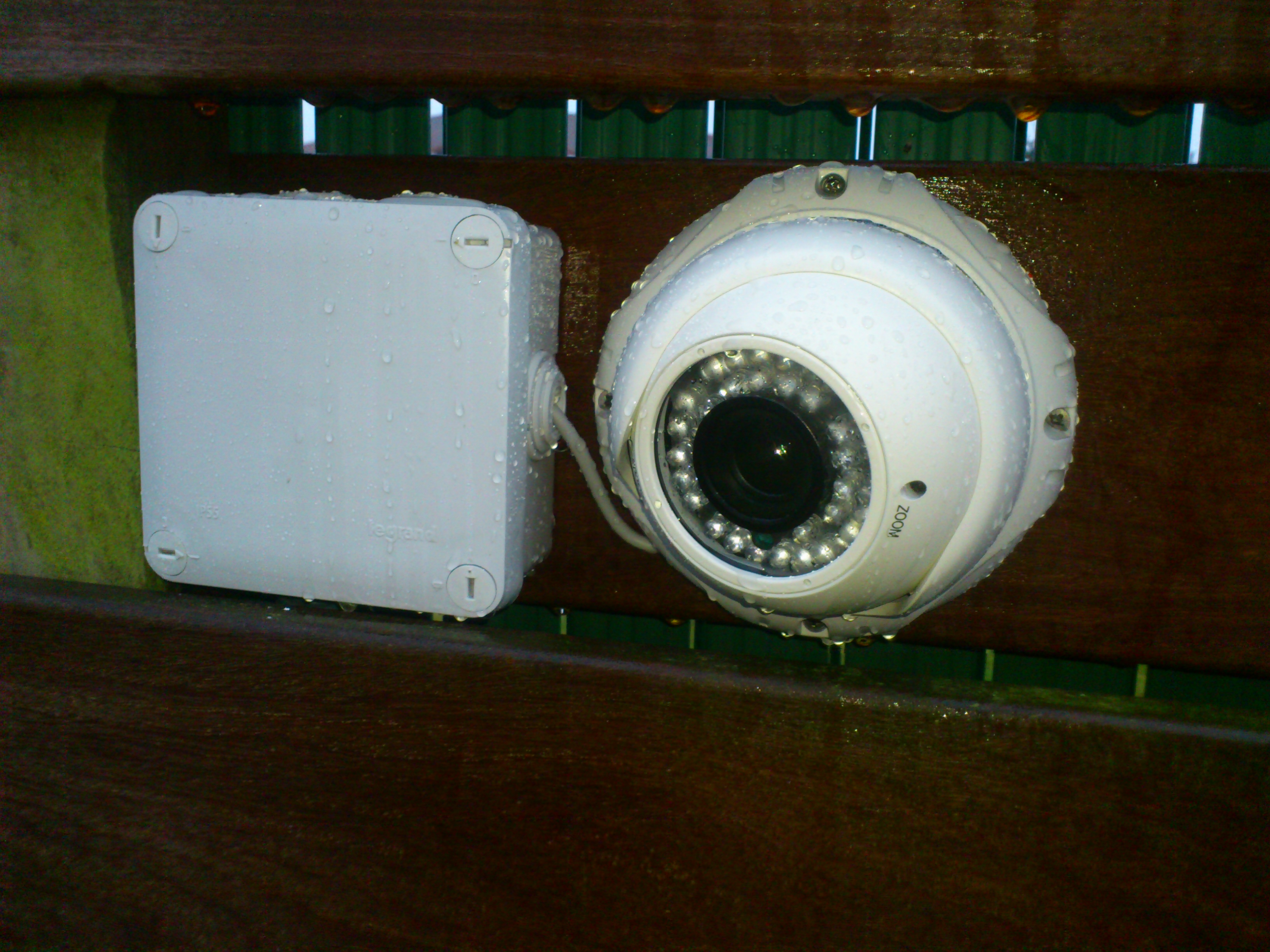 Dsc 0460