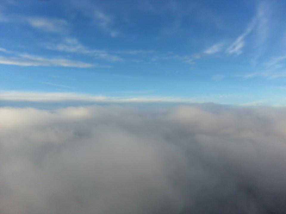 12301504 962344857173398 1614270990141606712 n