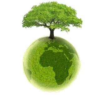 Ecologie2