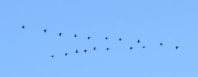Img 3424