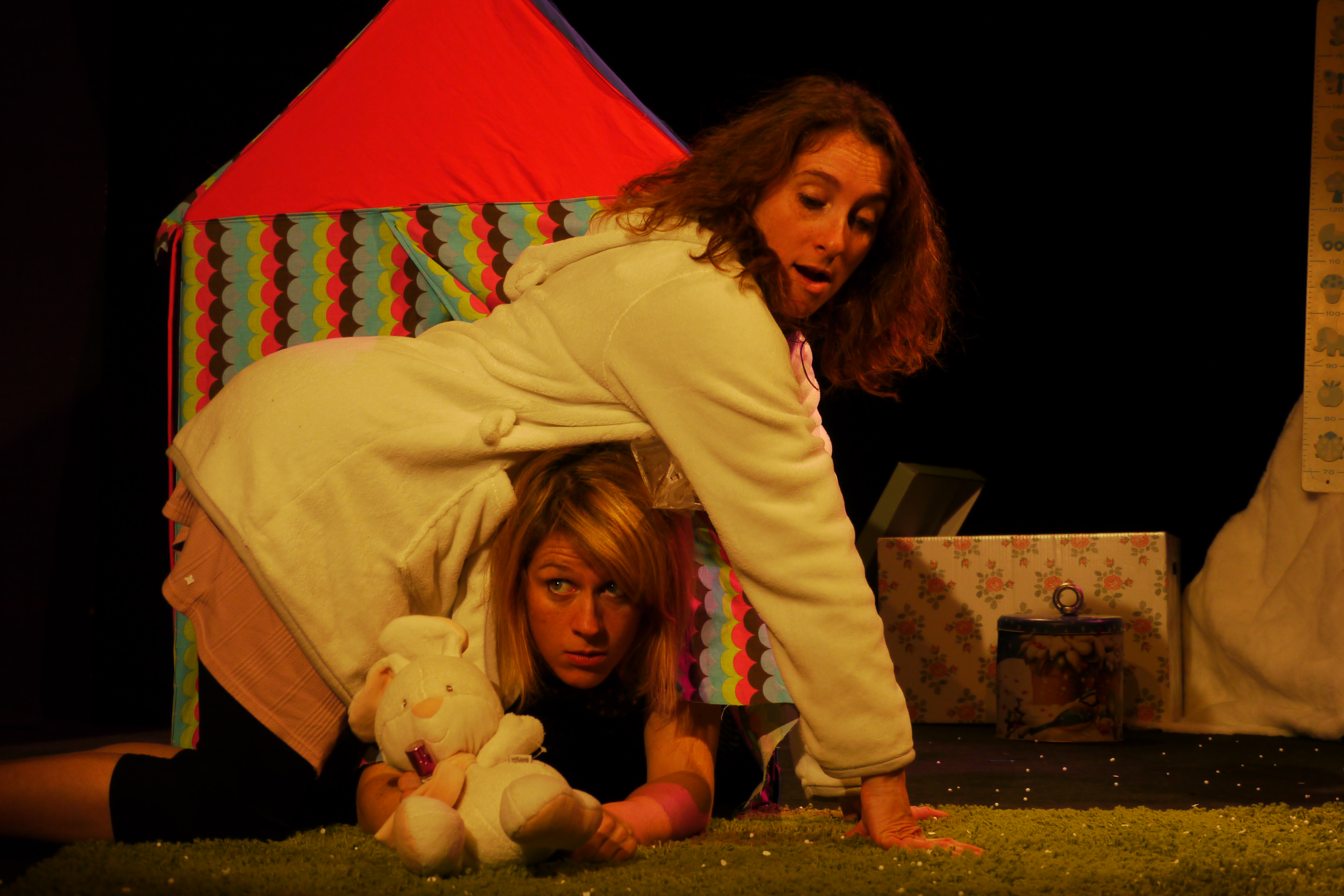 Pas dodo photo aude carpintieri 21 10 2015 23 